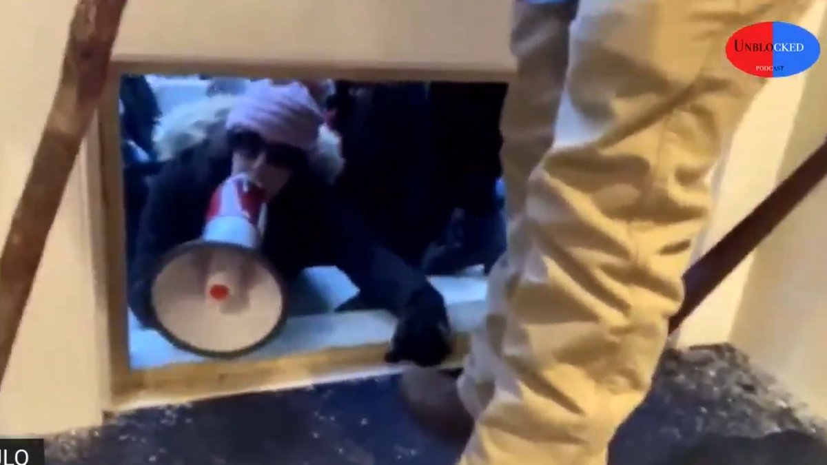 A woman wearing a pink knit hat and sunglasses speaks into a megaphone while leaning through a broken window during the January 6th Capitol riot.