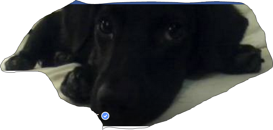 The Facebook