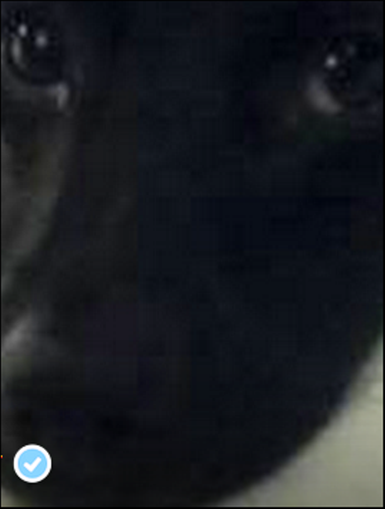 Close-up of Lamont's verified nostril's with the official FB blue check mark logo