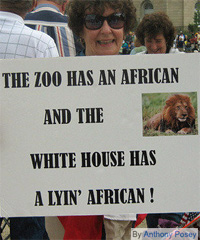 American Voter