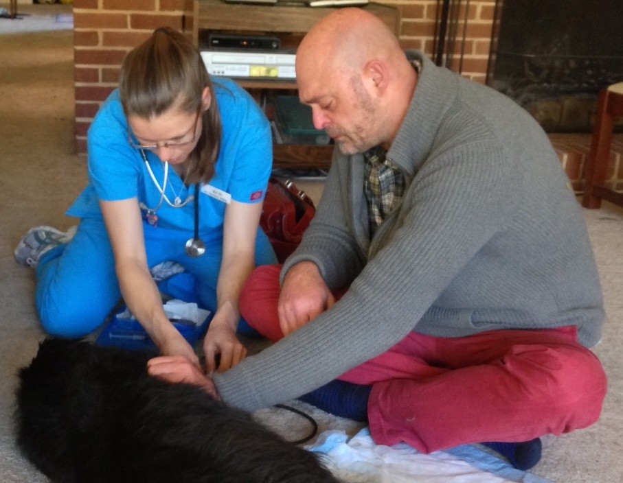 Buddy gets the final, loving death drug that stops his heart