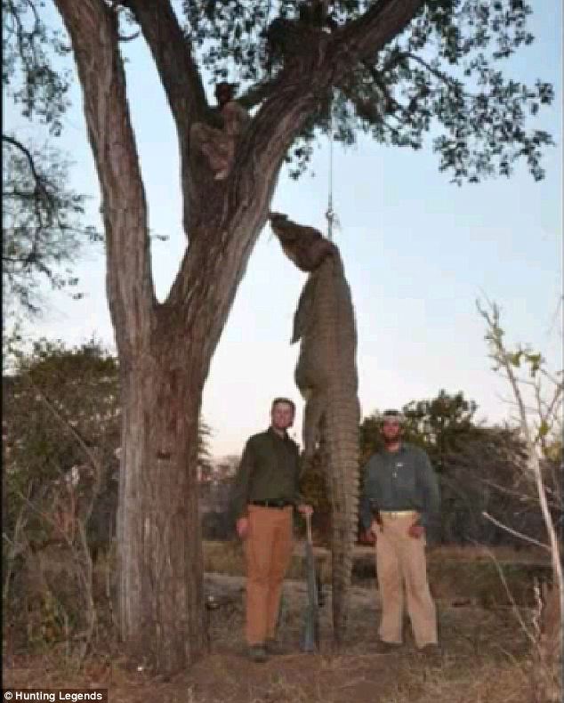 Trump's two sons pictures with an African crocodile they just shot hanging by a noose from a tree. Trump says