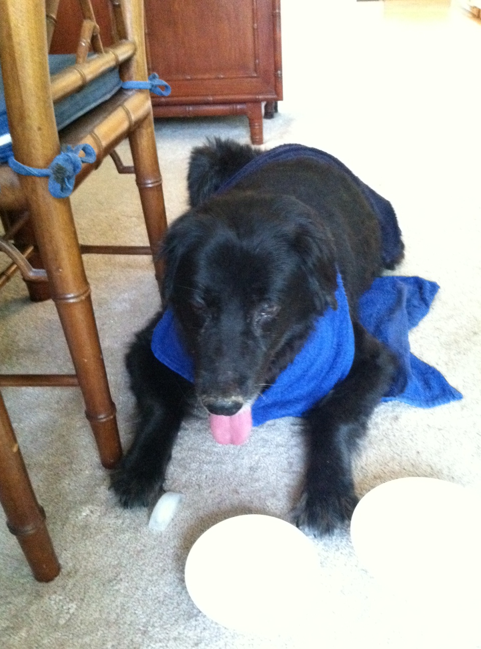 My friend, Buddy, a few weeks ago