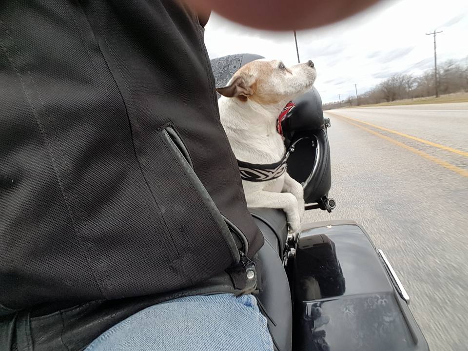Mr. Davidson and his new biker chauffeur